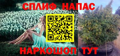 сатива Бузулук