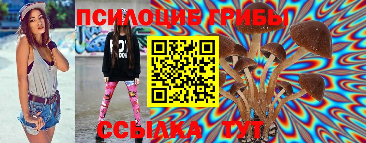 Псилоцибиновые грибы Psilocybine cubensis  Вход с VPN  Галлюциногенные грибы Psilocybine cubensis  Оренбург 